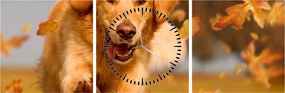 Obraz - Golden Retriever (z zegarem) (90x30 cm)