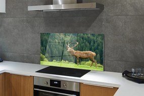 Panel nad Blat Kuchenny Jeleń na Otwartym Polu
