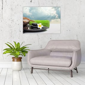 Obraz - Spa and relakx (70x50 cm)