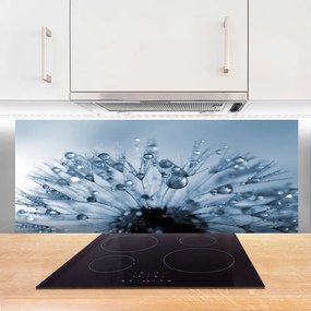 Panel Szklany do Kuchni Dmuchawiec w Porannej Rosie