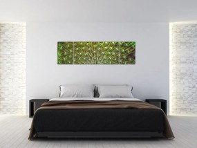 Obraz - Paw (170x50 cm)