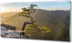 Foto obraz szklany Sokolica Pieniny