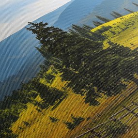 Obraz - Górska łąka (170x50 cm)