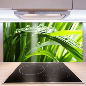 Panel nad blat kuchenny Perlista Rosa na Trawie