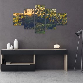 Obraz - Winnica (125x70 cm)