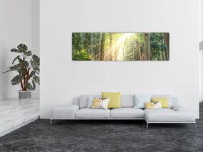 Obraz ścieżki w lesie (170x50 cm)