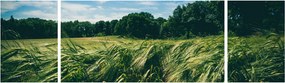 Obraz łąki i lasu (170x50 cm)