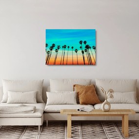 Obraz na szkle - Kalifornia (70x50 cm)