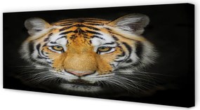 Zdjęcie na płótnie Portret Tygrysa
