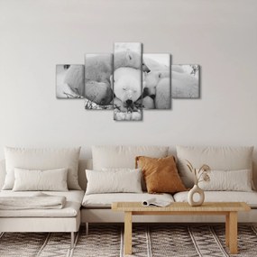 Obraz - Niedźwiedzie polarne (125x70 cm)