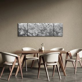 Obraz - Trawa na wietrze (170x50 cm)