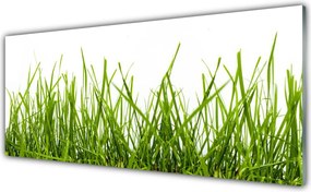 Panel Szklany Soczysta Zielona Polana