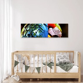 Obraz - Papuga (170x50 cm)