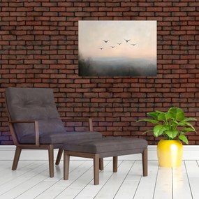 Obraz na szkle - Stado ptaków (70x50 cm)