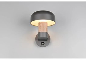 Zewnętrzna lampa ścienna (wysokość 24,5 cm) Fraser – Trio