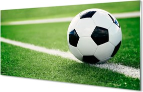 Szklany Panel Piłka na Zielonym Trawniku