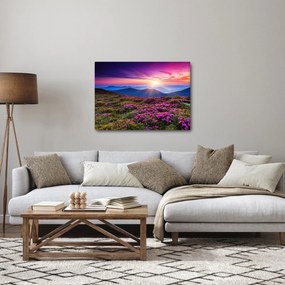 Obraz - Krajobraz kwitnących gór (70x50 cm)