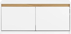 SoBuy Ławka na buty z 2 drzwiami i z pojemnikiem FSR171-W