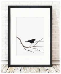 Obraz 24x29 cm Bird on the Branch – Vavien Artwork