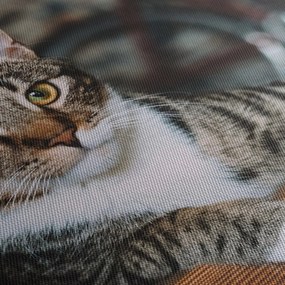 Obraz kota (170x50 cm)