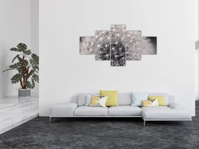 Obraz dmuchawca (125x70 cm)