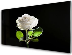 Panel Szklany Herbaciana Róża W Ogrodzie