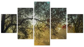 Obraz wschodu słońca (125x70 cm)
