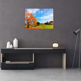 Obraz na szkle - Jesienny krajobraz (70x50 cm)