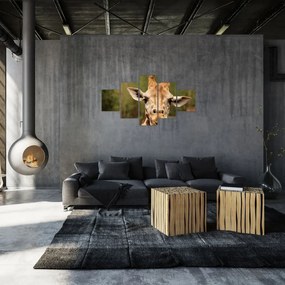 Obraz żyrafy (125x70 cm)