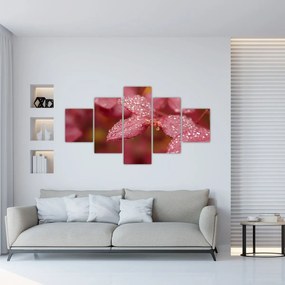 Obraz - Obraz biletu w trybie makro (125x70 cm)