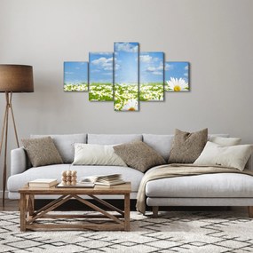 Obraz kwitnącej łąki ze stokrotkami (125x70 cm)