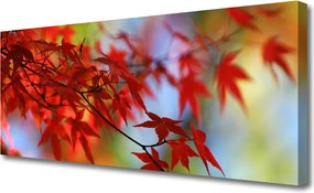 Fotoobraz na płótnie Świeżość Zielonych Liści