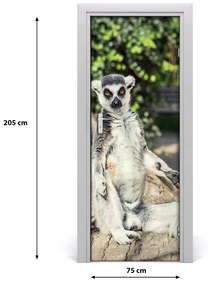 Naklejka samoprzylepna na drzwi Lemur