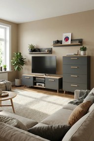 Zestaw rtv do pokoju antracyt + dąb artisan M3-E83