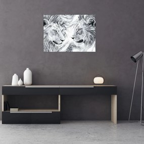 Obraz - Rysowane lwie głowy (70x50 cm)