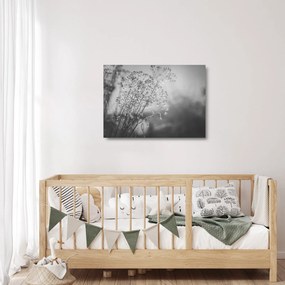Obraz na szkle - Łąka po deszczu (70x50 cm)