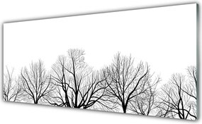 Dekor Szklany do Kuchni Majestatyczne Drzewa v Lesie