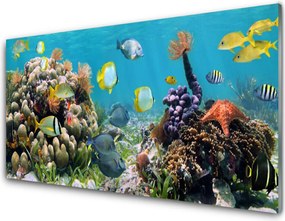 Panel nad blat kuchenny Podwodny Świat Oceanu