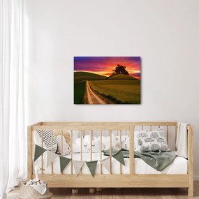 Obraz pola i kolorowego nieba (70x50 cm)