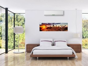 Obraz - Złota godzina pustyni (170x50 cm)