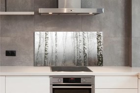 Panel szklany do Kuchni Mglisty Poranek wśród Brzóz