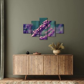 Obraz lawendy (125x70 cm)