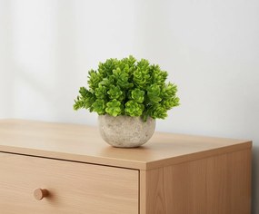 Sztuczna roślina 12 cm bukszpan w okrągłej betonowej donicy dekoracja