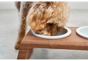 Zestaw misek ze stojakiem dla psów Desco Walnut S – MiaCara
