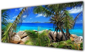 Panel Szklany do Kuchni Liście Na Tle Skał