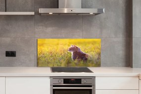 Panel szklany do Kuchni Kot w Trakcie Polowania