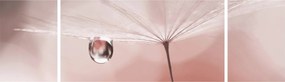 Obraz - Kropla rosy (170x50 cm)