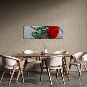 Obraz - Czerwona róża z zieloną łodygą (z zegarem) (90x30 cm)