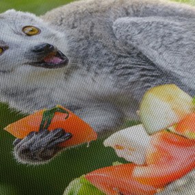 Obraz lemura (125x70 cm)