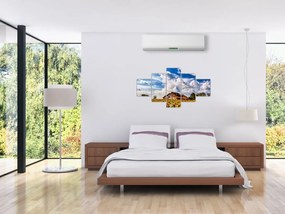 Obraz pola słoneczników (125x70 cm)